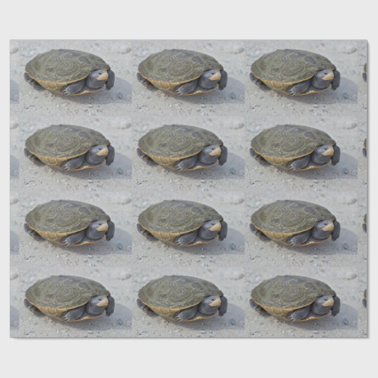 Foto Turtle Cadeaupapier (Vlak)