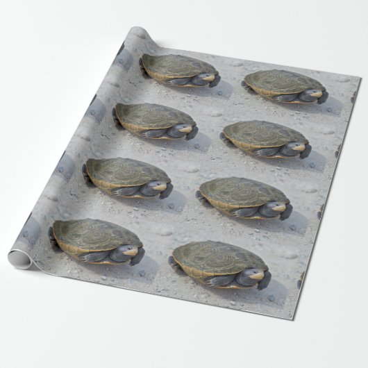 Foto Turtle Cadeaupapier (Uitgerold)