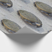 Foto Turtle Cadeaupapier (Hoek)