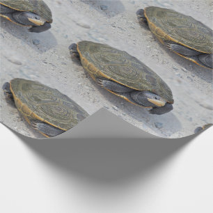 Foto Turtle Cadeaupapier