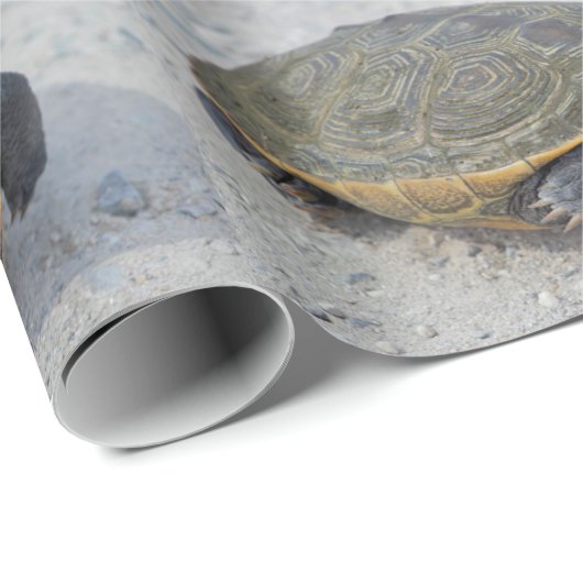 Foto Turtle Cadeaupapier (Rol Hoek)