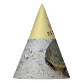 Foto Turtle Feesthoedjes (Links)