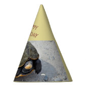 Foto Turtle Feesthoedjes (Rechts)