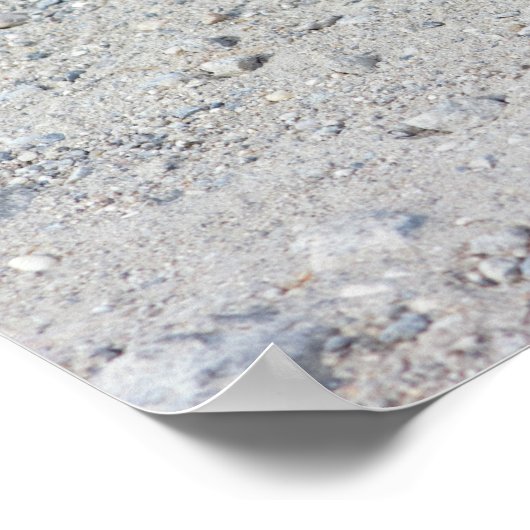 Foto Turtle Poster (Hoek)