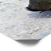 Foto Turtle Poster (Hoek)