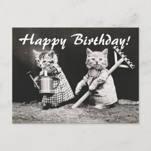  foto Twee katten, tuinend Briefkaart