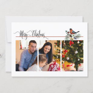 Foto van 1 of 3 met Robin Kerstmis