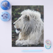 Foto van African White Lion Flyer (Enkel)