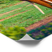 Foto van Afrikaanse olifant Wildlife Poster (Hoek)