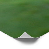 Foto van Afrikaanse Zebra in het Green Grass-portr Poster (Hoek)