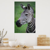 Foto van Afrikaanse Zebra in het Green Grass-portr Poster (Keuken)