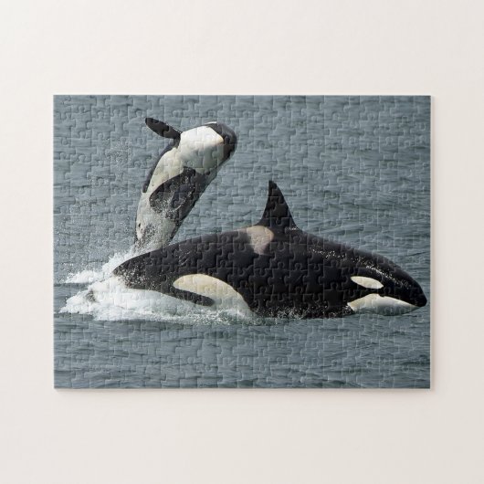 Foto van Alaska Killer Whale Orca Legpuzzel (Horizontaal)