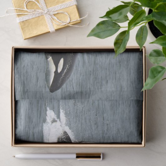 Foto van Alaska Killer Whales Tissuepapier (Geschenk)