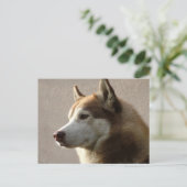 Foto van Alaskan Malamute Dog Briefkaart (Staand voorkant)