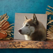 Foto van Alaskan Malamute Dog Fotoplaat (Zijkant)