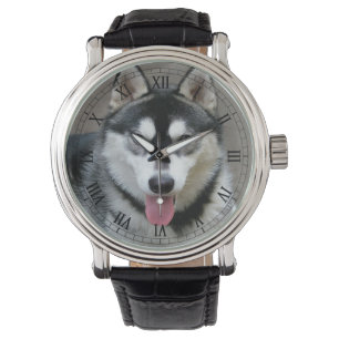 Foto van Alaskan Malamute Dog Horloge
