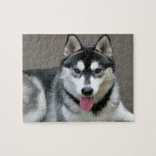 Foto van Alaskan Malamute Dog Legpuzzel