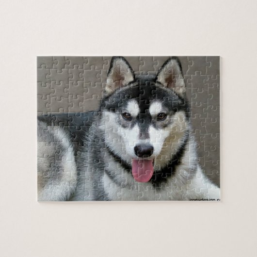 Foto van Alaskan Malamute Dog Legpuzzel (Horizontaal)