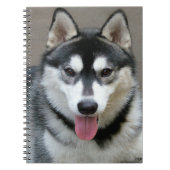 Foto van Alaskan Malamute Dog Notitieboek (Voorkant)
