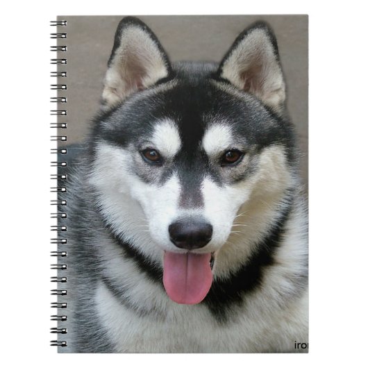 Foto van Alaskan Malamute Dog Notitieboek (Voorkant)