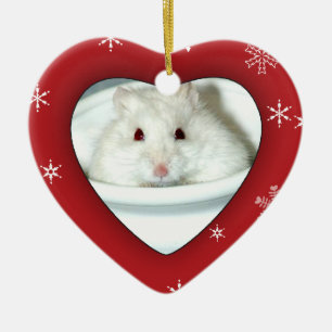 Foto van Albino Hamster Keramisch Ornament