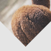 Foto van Alpaca Brown en White Animal Tissuepapier (Detail)