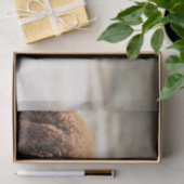 Foto van Alpaca Brown en White Animal Tissuepapier (Geschenk)