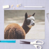 Foto van Alpaca Brown en White Animal Tissuepapier (Craft)