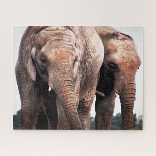 Foto van Amazing Elephants Legpuzzel (Horizontaal)