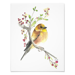 Foto van American Goldfinch Bird Waterverf Foto Afdruk