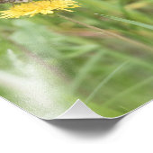 Foto van American Painted Lady Butterfly Foto Afdruk (Hoek)