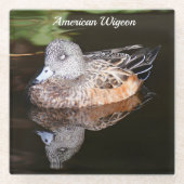Foto van American Widgeon Wildlife Glazen Onderzetter (Voorkant)
