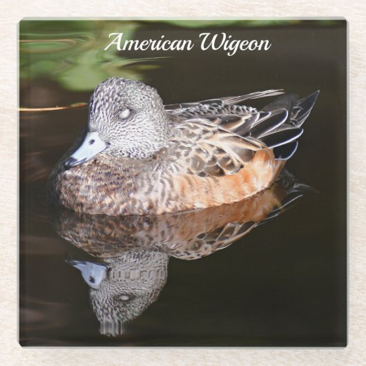 Foto van American Widgeon Wildlife Glazen Onderzetter (Voorkant)