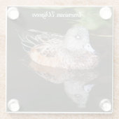 Foto van American Widgeon Wildlife Glazen Onderzetter (Achterkant)