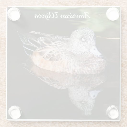 Foto van American Widgeon Wildlife Glazen Onderzetter (Achterkant)