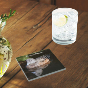 Foto van American Widgeon Wildlife Glazen Onderzetter