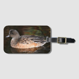Foto van American Wigeon Wildlife Bagagelabel