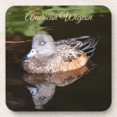 Foto van American Wigeon Wildlife Bier Onderzetter (Voorkant)