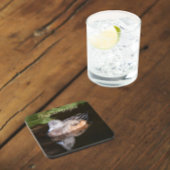 Foto van American Wigeon Wildlife Bier Onderzetter