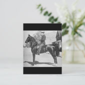  foto van Amerikaanse zadelpaarten Briefkaart (Staand voorkant)