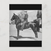 foto van Amerikaanse zadelpaarten Briefkaart (Voorkant)