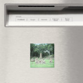 Foto van Ancient Mayan Ruins Copan N.W. Honduras Magneet (Insitu (Vaatwasser))