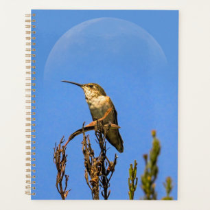 Foto van Anna's kolibrie tegen volle maan Planner