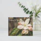 Foto van Apple Blossoms in Sun: "Thinking of You" Briefkaart (Staand voorkant)