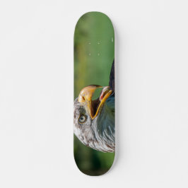 foto van arend persoonlijk skateboard