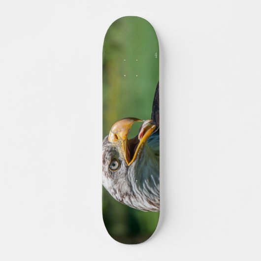 foto van arend persoonlijk skateboard (Voorkant)