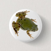 Foto van Arizona Tree Frog Ronde Button 3,2 Cm (Voorkant)