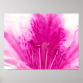 Foto van Azalea Flower Fine Art Poster (Voorkant)
