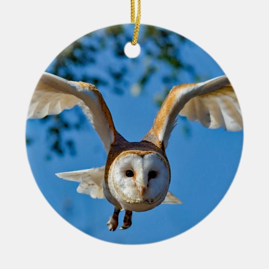 Foto van Barn Owl Flight Keramisch Ornament (Voorkant)