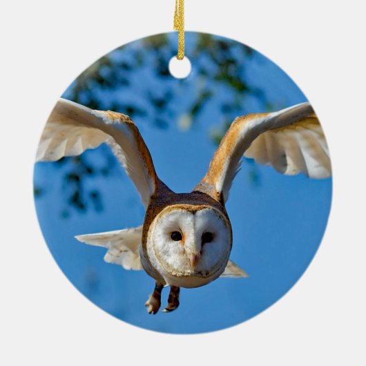 Foto van Barn Owl Flight Keramisch Ornament (Achterkant)